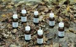 KA1 Oleolito Da Massaggio Alchemica Valgelata 30 Ml