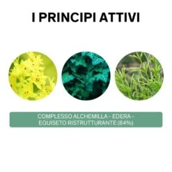 Lierac Phytolastil Soluté Concentrato Gel Correzione Smagliature 75 Ml -BioNike Online lierac phytolastil solute siero correzione smagliature 75ml 4 1608593749