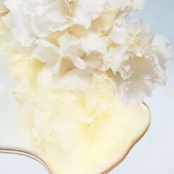 Nuxe Huile Prodigieuse Olio Idratante 50ml -BioNike Online nuxe huile prodigieusev olio secco multiuso nutriente 50ml 8 1621441883